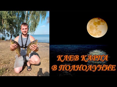 Видео: КАРП В ПОЛНОЛУНИЕ. Оз. КАЛДЫ. Челябинская обл.