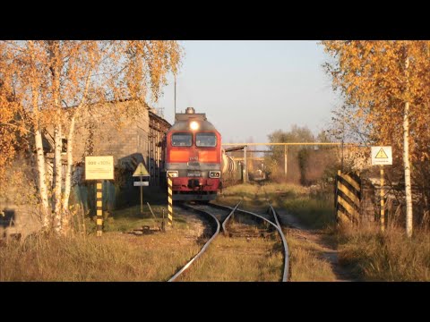 Видео: Подъездной путь ожил через 8 лет: цистерны Трансойл в отстое. Прогулка на Запсковье