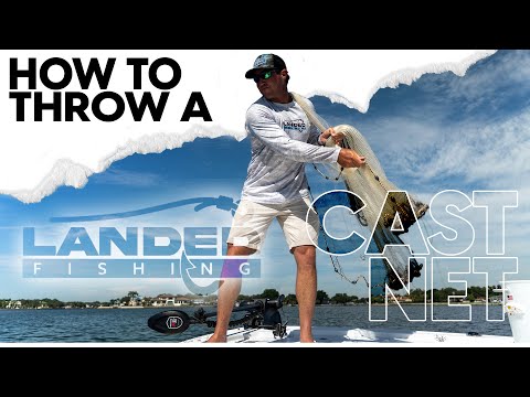 Видео: Как забросить кастинговую сеть методом тройной загрузки (шаг за шагом) Ловля наживки | Ловля рыбы...