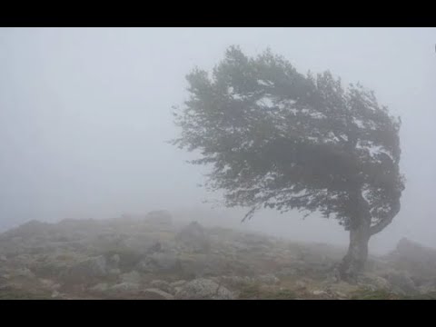 Видео: Штормовое предупреждение объявлено в нескольких регионах