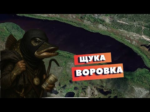 Видео: На рыбалку с женой. Щука на живца. Щука на спиннинг осенью. #рыбалка