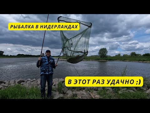 Видео: Рыбалка на реке в Нидерландах