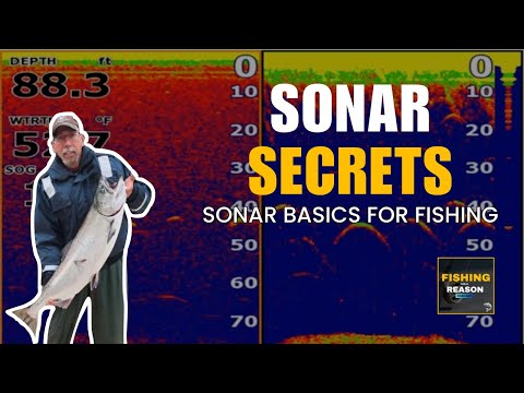 Видео: Основы использования эхолота для рыбалки | Эксперт ВМС объясняет настройку эхолота