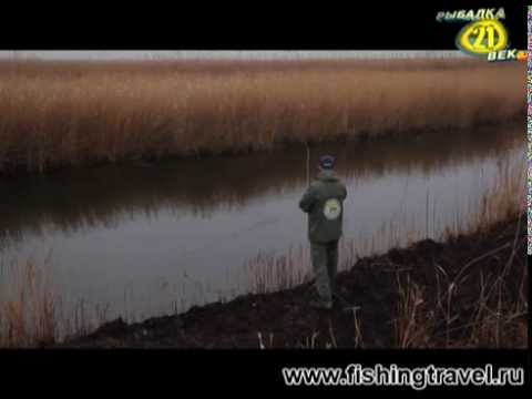 Видео: Рыболов-Эксперт. Нахлыст. Щука открывает сезон.