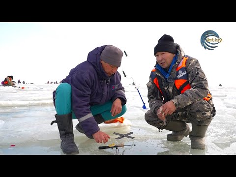 Видео: МҰЗДА БАЛЫҚ АУЛАУ / ҚАПШАҒАЙ СУ ҚОЙМАСЫ / ОЛЖА / 13.01.2024