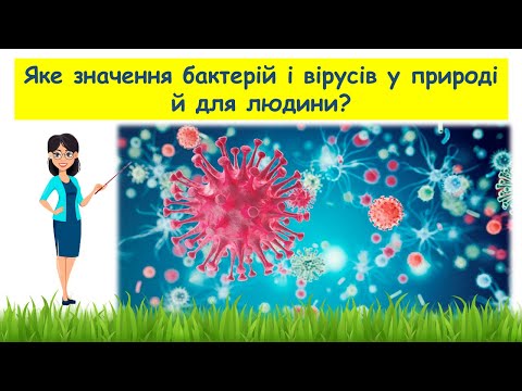 Видео: Яке значення бактерій і вірусів у природі й для людини // Пізнаємо природу 5 клас НУШ