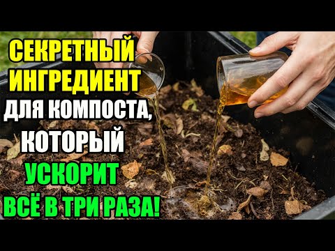 Видео: ОДНА ДОБАВКА ДЕЛАЕТ КОМПОСТ В 3 РАЗА БЫСТРЕЕ И ПОЛЕЗНЕЕ! У МЕНЯ ТАКОЙ КОМПОСТ ХОТЬ САМ ЕШЬ!