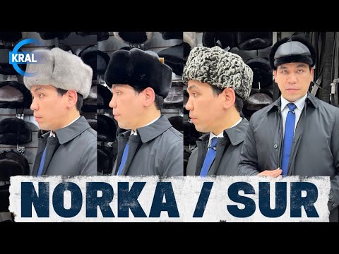 Видео: NORKA VA SUR TELPAK | PAPOQ NARXLARI | НОРКА И СУР ТЕЛЬПАК | ЦЕНЫ НА ШАПКИ 