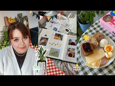 Видео: создаю уют дома 🍂🌻 оформляю фотоальбом и зеленый уголок 🪴