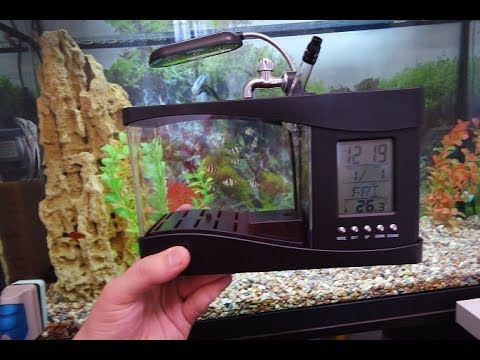 Видео: Мини аквариум usb c органайзером. Посылка с Али!