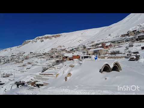 Видео: Ингердах 15.02. 2024 г.