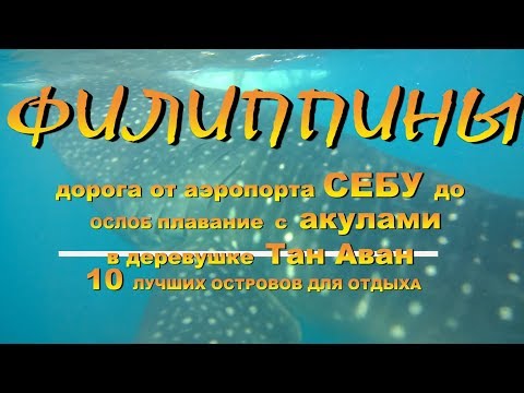 Видео: Филиппины дорога от аэропорта Себу Cebu до Ослоб Oslob плавание с акулами в деревушке Тан Аван