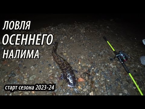 Видео: Вечерняя Рыбалка на Налима🐋Старт Сезона 2023-24! Ловля налима в октябре на донки, резинку на ерша