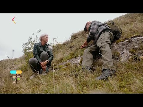 Видео: Село Биз I Вокзал для двоих