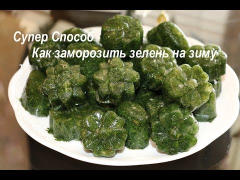 Видео: Как заморозить Укроп на зиму. Супер заготовка зелени на зиму
