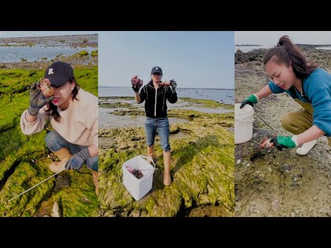 Видео: Ловите крабов в углублениях в камнях на пляже | Ловля крабов #краб #рыбалка #ловля #охота