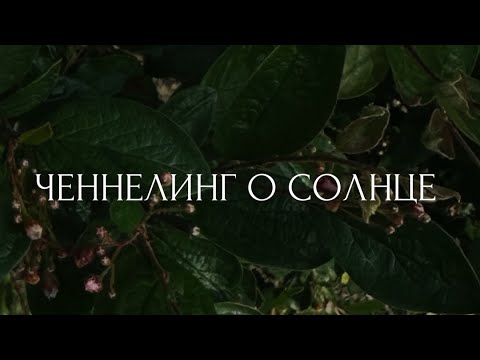 Видео: Ченнелинг о солнце 