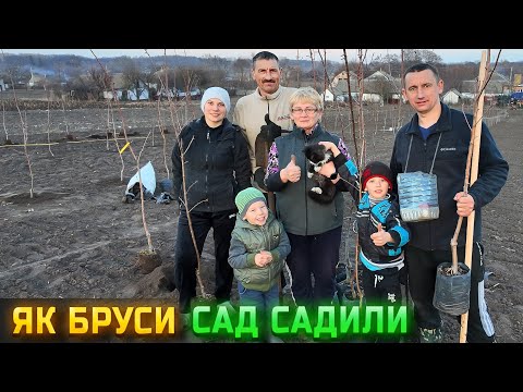 Видео: 🇺🇦Садимо сад "Миру" ВЕЛИКОЮ РОДИНОЮ! Щедра долина, всюдихід і чан на колесах!