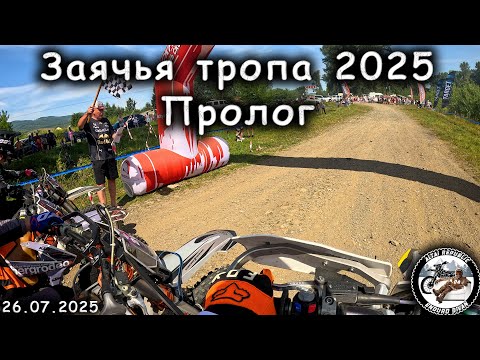 Видео: Заячья тропа 2025 | Пролог | Класс бронза