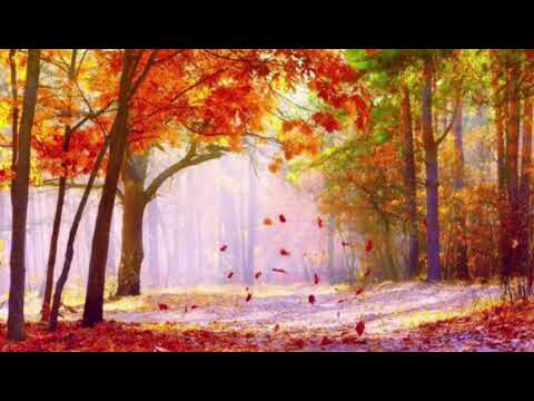 Видео: Этой осенью всё исполнится Анастасия Ларецкая