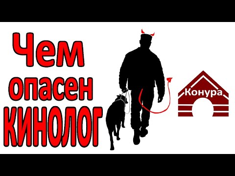 Видео: Как кинолог может испортить собаку