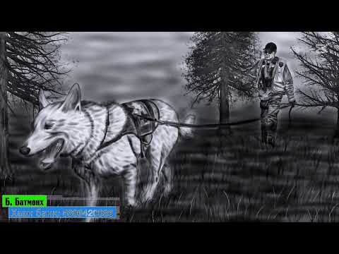 Видео: Анчид