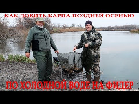 Видео: Как ловить карпа поздней осенью по холодной воде на фидер в ноябре! Советы