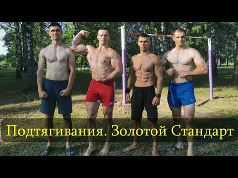 Видео: Три брата-акробата против Лося! Подтягивания по Золотому Стандарту