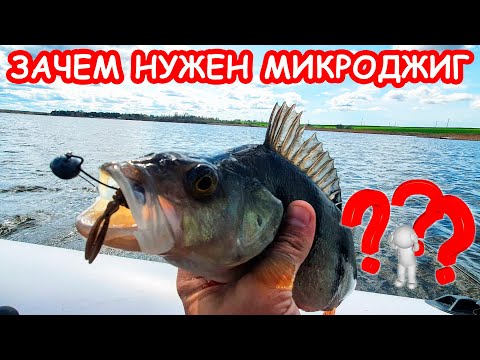 Видео: ЗАЧЕМ НУЖЕН МИКРОДЖИГ. РЫБАЛКА НА СПИННИНГ