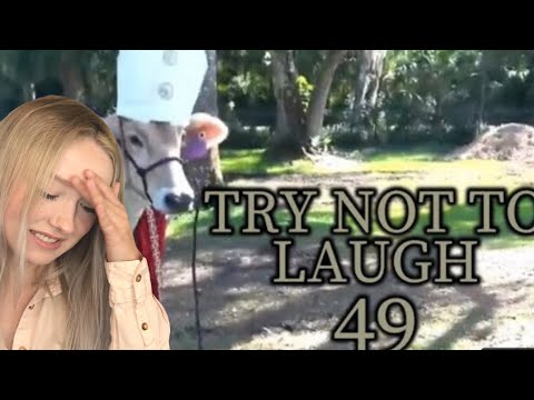 Видео: Попробуйте не засмеяться. ЗАДАНИЕ №49 Автор: Adiktheone РЕАКЦИЯ!!!