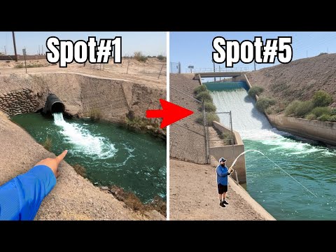 Видео: Каждый раз, когда я ловлю рыбу, водосброс становится БОЛЬШЕ...