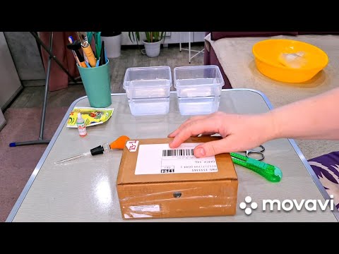 Видео: КОМНАТНЫЕ РАСТЕНИЯ(ЦВЕТЫ).ПРИШЛИ КЛОНЫ.