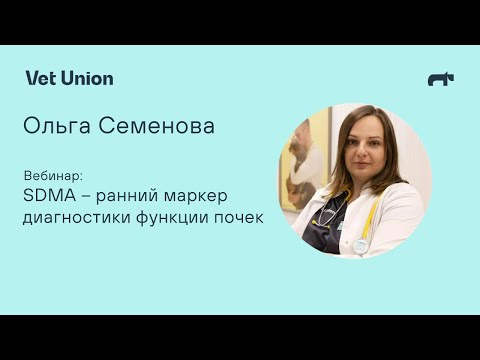 Видео: SDMA (СДМА)