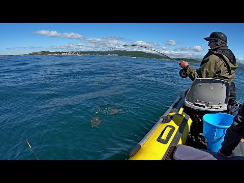 Видео: Рыбалка в Приморье. Залив Восток. Морская рыбалка, камбала. 06.06.2021 г.