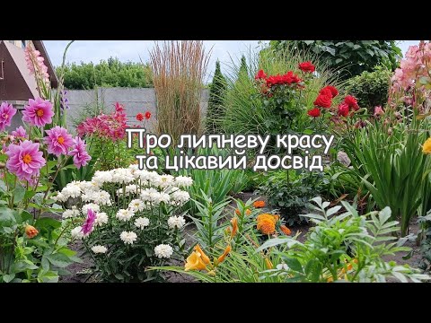 Видео: Колекція Живих Відтінків для будь-якого Саду✨🌿🌸💫