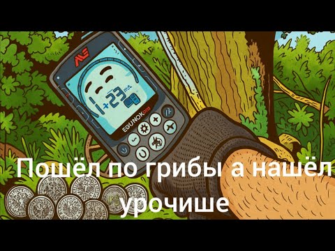 Видео: ЛЕСНОЙ КОП НАШЕЛ НЕБИТЫЙ ФУНДАМЕНТ В ЛЕСУ .EQUINOX800 КОП 2025