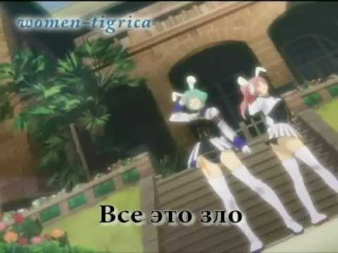 Видео: Когда плачут чайки