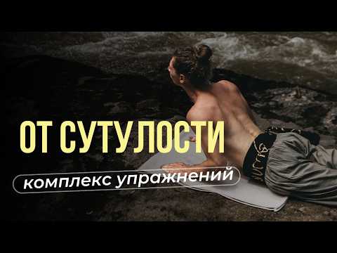 Видео: Упражнения для здоровья спины и ровной осанки