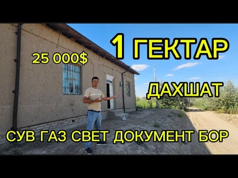 Видео: ТУРАР ЖОЙ СОТИЛАДИ ТАЙЁР !!!