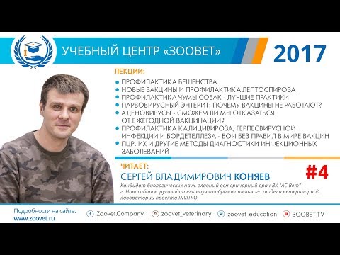 Видео: C. В. Коняев в УЦ «Зоовет» | Парвовирусный энтерит, почему вакцины не работают? | ч. 4/5