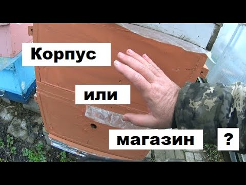 Видео: Поставить магазин или корпус при расширении пчёл весной ?