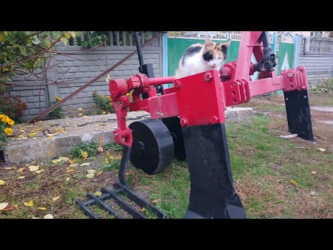 Видео: Саджанці  дерев. Осінь 2025.