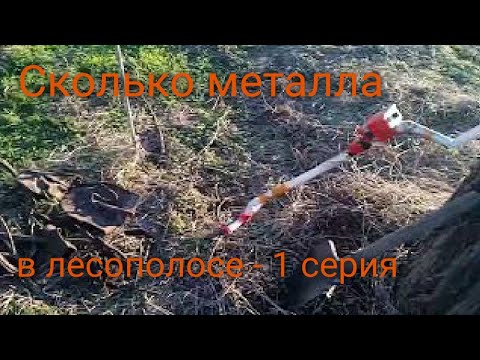 Видео: Сколько металла в лесополосе часть 1 | металлокоп с Пиратом | Где можно копать металл