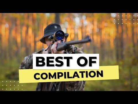 Видео: Сборник BEST OF 20 минут
