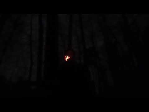 Видео: обзор про фильм завтрак для чемпионов