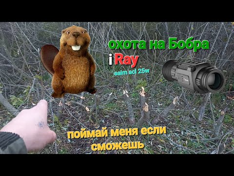 Видео: Охота на Бобра/прицел iRay saim scl 25w !!!