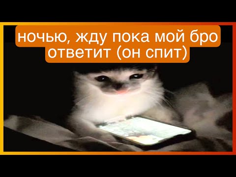 Видео: тикток ждет ответа | подборка мемов