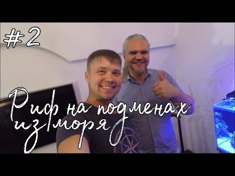 Видео: №2 Морской аквариум на подменах из моря | г. Владивосток