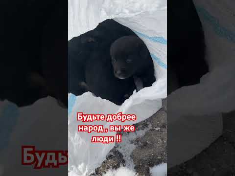 Видео: 7 ноября 2025 г.