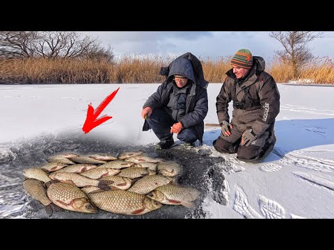 Видео: РЫБАЛКА на КАРАСЯ ЗИМОЙ 2023!!! ЛОВЛЯ КАРАСЯ со ЛЬДА + СЕКРЕТ ЛОВЛИ на МОРМЫШКУ